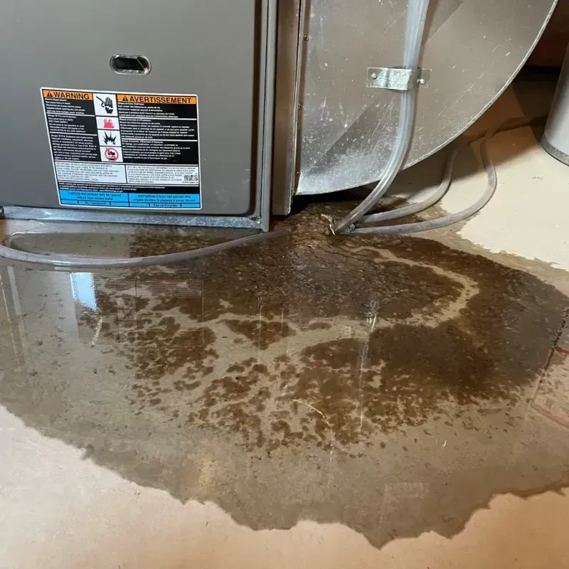 Appliance Leak Cleanup in Hoover, AL